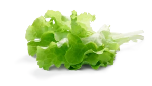 Salade