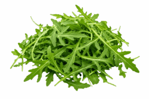 Roquette